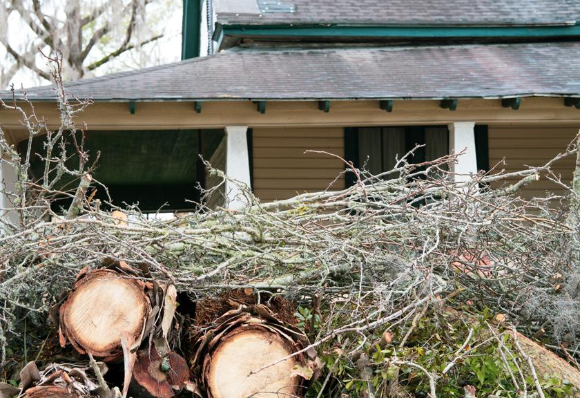 Cut logs and brush in front of a house