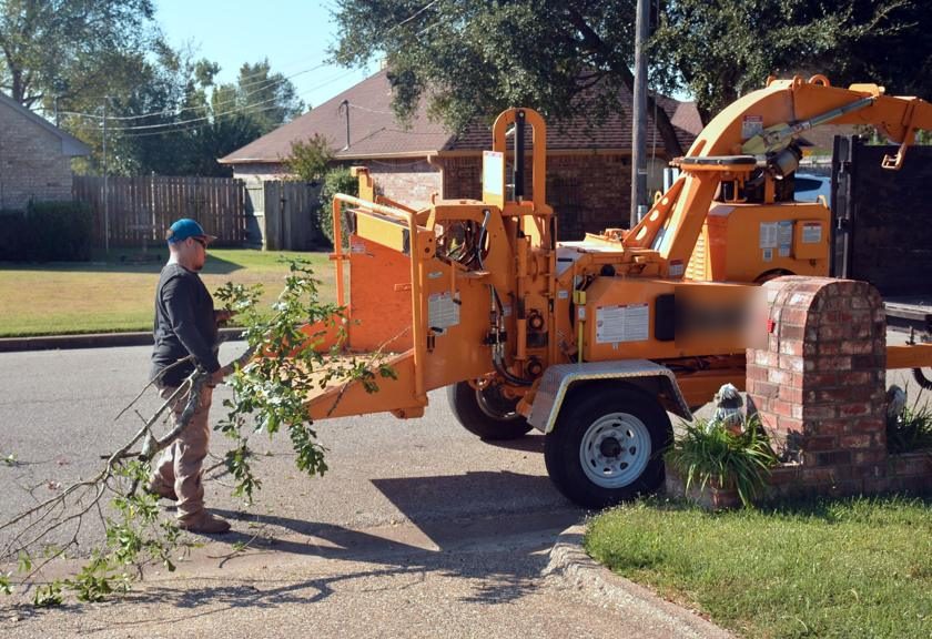 Worker feeding branches into a wood chipper